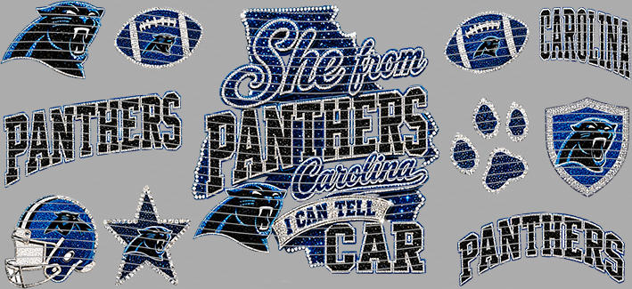 16oz team-NFL 3539